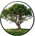 Amarhiwu Aluhlaza Funeral Services